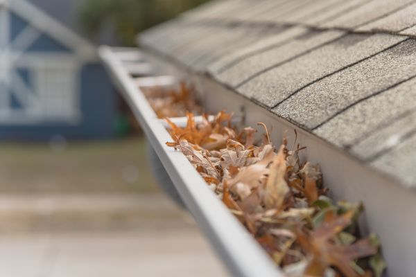 Leaf Barrier Installation in Magnolia