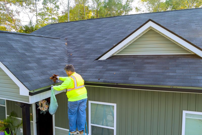 Gutter Service Professionals